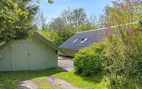 Hilla - 31Km from the Sea: Shrub, Cottage, Garden, Garden Buildings, Shed, Lawn, Yard, Landscaping, Shade, Backyard