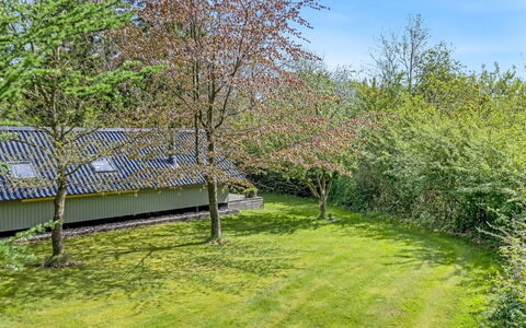 Hilla - 31Km from the Sea: Grass, Shrub, Garden, Land Lot, Groundcover, Lawn, Spring, Backyard, Cottage