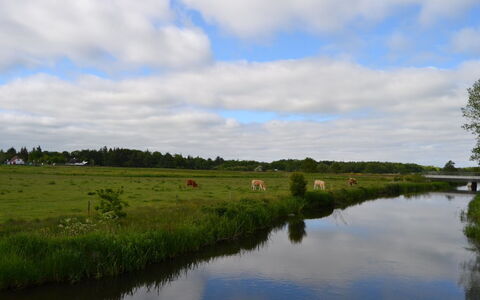 Josina - 32Km from the Sea: Sky, Water Resources, Water, Body Of Water, Natural Environment, Nature, Natural Landscape, Waterway, Green, Cloud