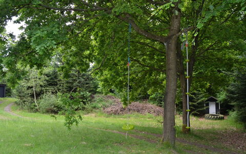 Josina - 32Km from the Sea: Leaf, Tree, Branch, Trunk, Nature Reserve, Woody Plant, Lawn, Garden, Woodland, Shade