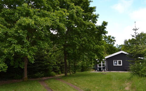 Josina - 32Km from the Sea: Leaf, Branch, Home, Cottage, Lawn, Shade, Shed, Garden, Garden Buildings, Yard