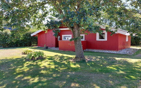 Annik - 980M to the Fjord: Grass, House, Roof, Shrub, Cottage, Land Lot, Home, Rural Area, Lawn, Groundcover