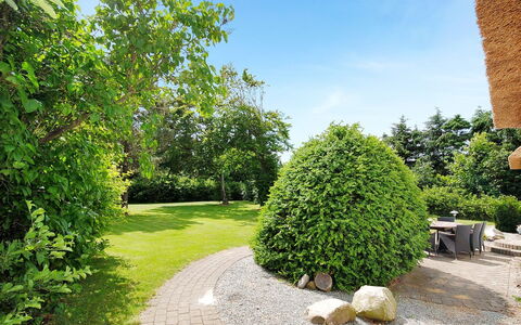 Fintan - 2Km to the Fjord: Green, Leaf, Shrub, Garden, Groundcover, Hedge, Woody Plant, Landscaping, Lawn, Shade