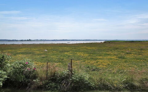 Jeip - 400M to the Fjord: Sky, Blue, Green, Natural Environment, Grass, Horizon, Grassland, Natural Landscape, Ecoregion, Plain