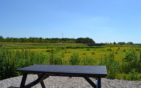 Valli - 22Km from the Sea: Vegetation, Shrub, Spring, Cottage, Garden, Shade, Backyard, Yard, Chair