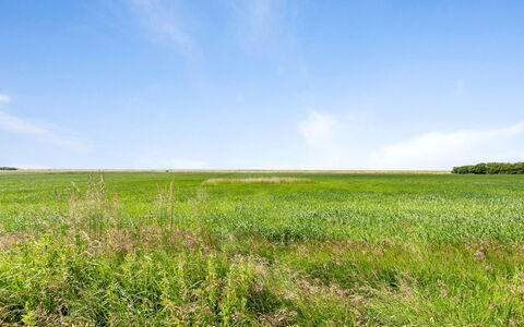 Thorarin - 25Km from the Sea: Roof, House, Land Lot, Home, Cottage, Estate, Garden Buildings, Shade, Log Cabin, Landscaping
