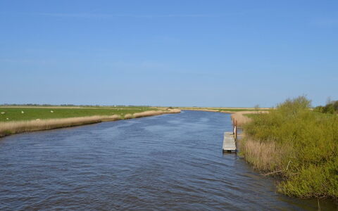 Inda - 10Km from the Sea: Grass, House, Roof, Home, Cottage, Shrub, Land Lot, Rural Area, Farmhouse, Groundcover