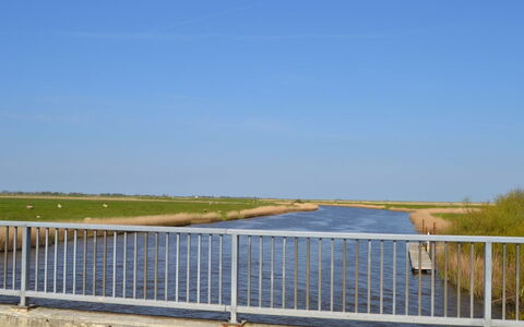 Inda - 10Km from the Sea: Grass, House, Roof, Home, Cottage, Shrub, Land Lot, Rural Area, Farmhouse, Groundcover
