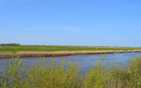 Inda - 10Km from the Sea: Grass, House, Roof, Home, Cottage, Shrub, Land Lot, Rural Area, Farmhouse, Groundcover