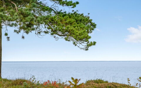 Ingeborg - 100M to the Fjord: Roof, House, Home, Cottage, Siding, Estate, Driveway, Garden Buildings, Yard, Shed