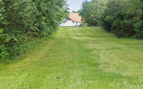 Beatha - 25Km to the Fjord: Grass, Tree, Grassland, Shrub, Land Lot, Lawn, Groundcover, Meadow
