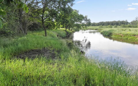 Beatha - 25Km to the Fjord: Sky, Water Resources, Water, Body Of Water, Grass, Natural Landscape, Natural Environment, Marsh, Nature, Green