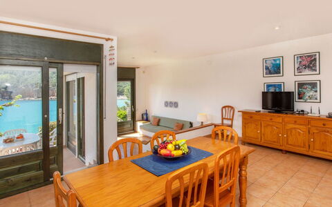 Port del Rei Ii: Table, Property, Furniture, Picture Frame, Wood, Chair, Interior Design, Houseplant, Living Room, Plant