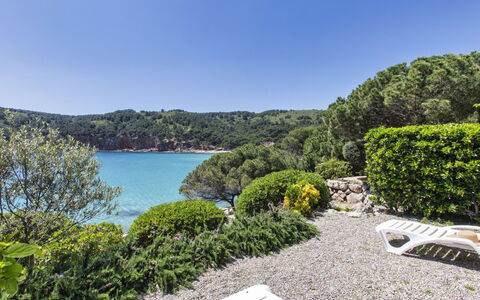 Port del Rei Ii: Water, Sky, Plant, Property, Nature, Natural Landscape, Lake, Tree, Landscape, Real Estate