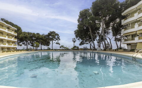International: Water, Sky, Building, Window, Cloud, Swimming Pool, Tree, Leisure, Composite Material