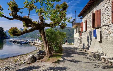La Cascina: Water, Sky, Window, Plant, Building, Wood, Tree, Lake, House, Road Surface