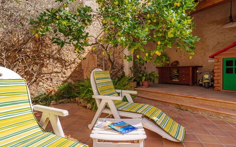 Cas Moliner: Furniture, Property, Plant, Nature, Chair, Outdoor Furniture, Wood, Building, Comfort, Grass