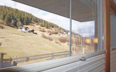 Wenns 113: Property, Window, Vehicle, Wood, Shade, Plant, Sky, Building, Vehicle Door, Tree