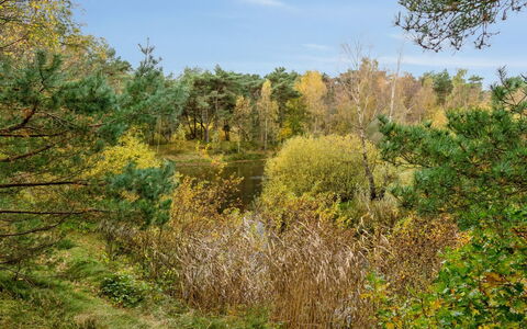Menke - 150M from the Sea: Roof, House, Land Lot, Home, Cottage, Estate, Garden Buildings, Shade, Log Cabin, Landscaping