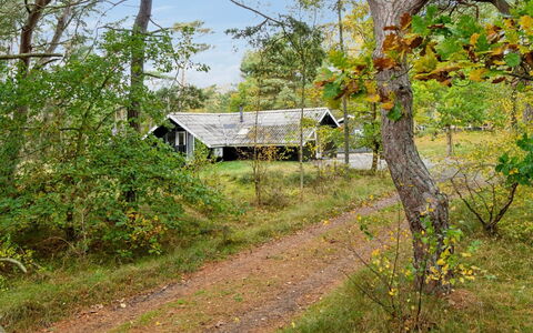 Menke - 150M from the Sea: Roof, House, Land Lot, Home, Cottage, Estate, Garden Buildings, Shade, Log Cabin, Landscaping