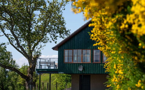 Drumnadrochit 121: Plant, Sky, Property, Building, Nature, Leaf, Natural Landscape, Flower, Tree, Yellow
