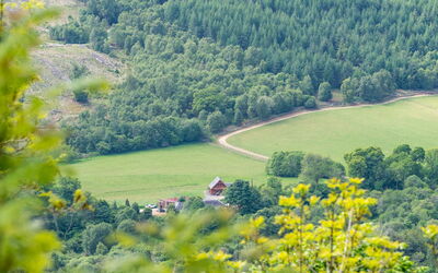 Drumnadrochit 121