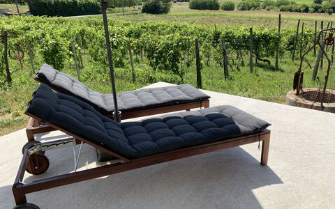 Accommodation:&nbsp;Oleandro 300.2