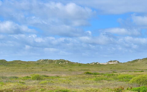 Sohvi - 450M from the Sea: Sky, Blue, Grass, Grassland, Natural Environment, Cloud, Green, Vegetation, Ecoregion, Pasture