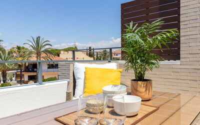 Palmera Dels Munts