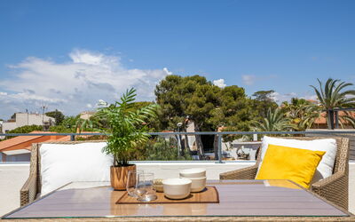 Palmera Dels Munts