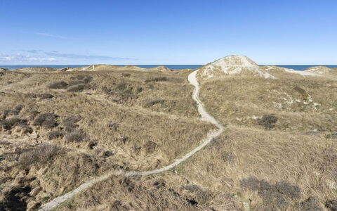 Solunka - 100M from the Sea: Ecoregion, Landscape, Terrain, Plant Community, Wilderness, Shrubland, Geology, Trail, Slope, Chaparral