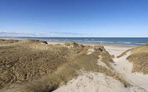 Solunka - 100M from the Sea: Sky, Ecoregion, Horizon, Sand, Coast, Beach, Sea, Coastal And Oceanic Landforms, Shore