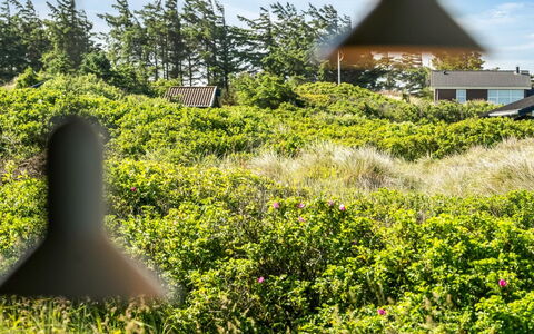 Sigrid - 400M from the Sea: Green, Vegetation, Shrub, Plant Community, Land Lot, Groundcover, Shrubland, Garden, Plantation
