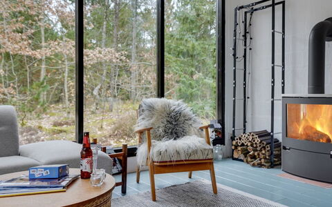Olaf - 1.4Km from the Sea: Furniture, Flooring, Wood, Interior Design, Floor, Chair, Lighting, Wood Flooring, Hearth, Living Room