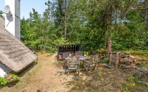 Olaf - 1.4Km from the Sea: Vegetation, Shrub, Land Lot, Cottage, Rural Area, Garden, Thatching, Shade, Backyard, Village