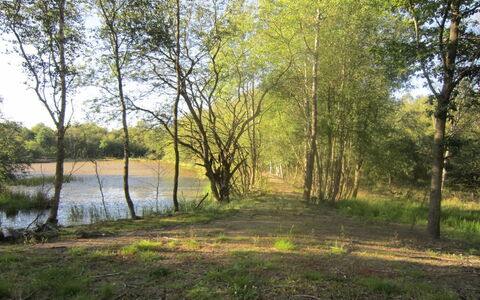 Wilmer - 40Km from the Sea: Roof, Home, Door, Cottage, Shade, Siding, Yard, Estate, Backyard