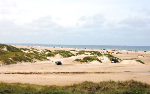 Rauli - 50M from the Sea: Sky, Ecoregion, Cloud, Sand, Cumulus, Beach