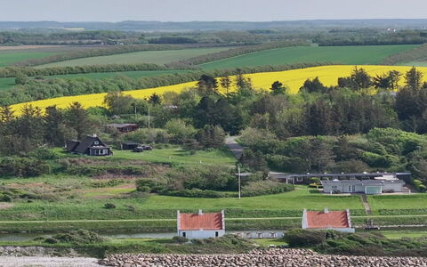 Aranja - 300M to the Fjord: Green, Grass, Landscape, Rural Area, Grassland, House, Land Lot, Plain, Field