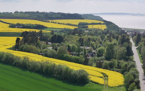 Aranja - 300M to the Fjord: Green, Natural Landscape, Landscape, Field, Grassland, Plain, Land Lot, Plantation, Rural Area, Agriculture