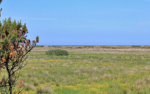 Annick - 300M from the Sea: Blue, Shrub, Cottage, Groundcover, Garden, Estate, Shade, Landscaping, Farmhouse, Eco Hotel