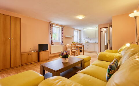 U Šustrů: Couch, Property, Furniture, Picture Frame, Comfort, Lamp, Lighting, Interior Design, Studio Couch, Living Room