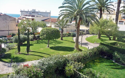 Riviera Park: Vegetation, Tree, Property, Green, Grass, Garden, Palm Tree, Lawn, Residential Area, Botany