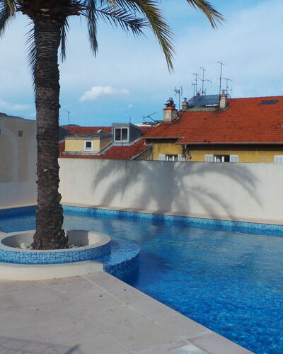 Riviera Park: Swimming Pool, Property, Blue, Real Estate, Building, Tree, Palm Tree, Wall, Vacation, Water