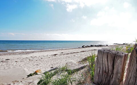 Salme - 100M from the Sea: Blue, Shrub, Cottage, Groundcover, Garden, Estate, Shade, Landscaping, Farmhouse, Eco Hotel