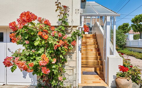 Janomaine: Flower, Plant, Property, Building, Flowerpot, Orange, Window, Door, Road Surface, Stairs