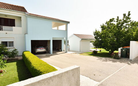 Elena: Plant, Building, Sky, House, Land Lot, Road Surface, Asphalt, Residential Area, Tree