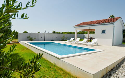 Elena: Plant, Sky, Building, Water, Swimming Pool, Shade, Rectangle, Window, Grass, Leisure