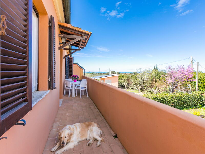 Accommodation:&nbsp;La Casina 650.3