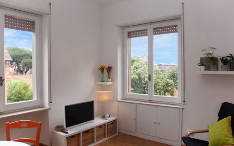 Monte Sacro: Plant, Property, Window, Furniture, Houseplant, Wood, Shade, Comfort, Flowerpot, Interior Design