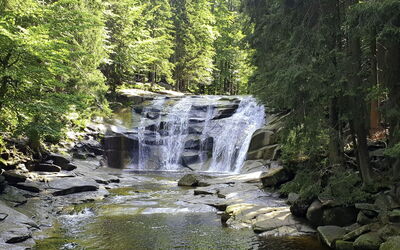 Harrachov 561